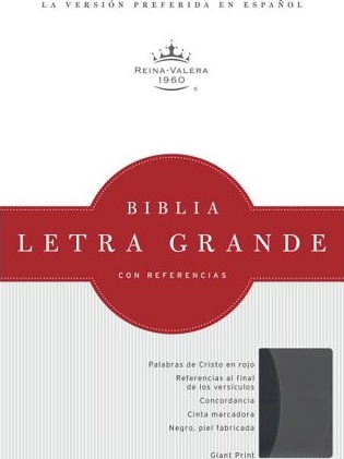 Spanisch, Bibel Reina Valera 1960, Grossschrift, zweifarbig schwarz/grau