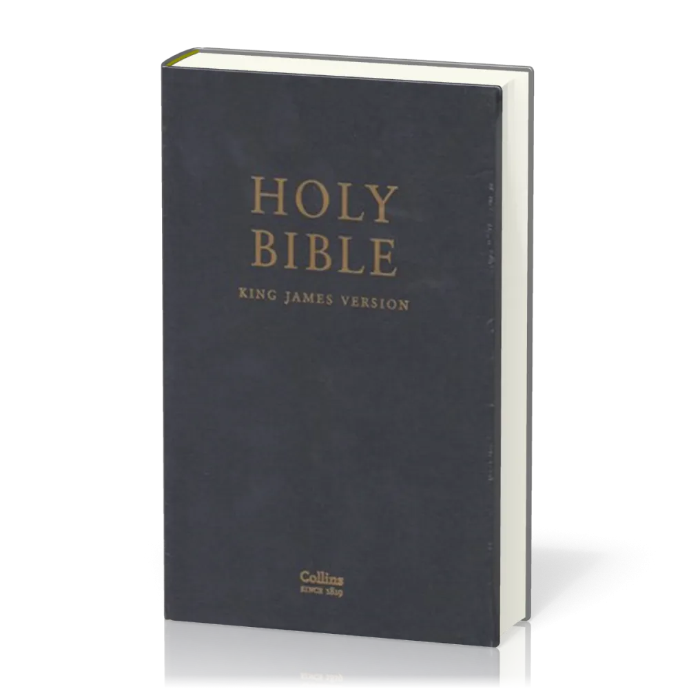 Englisch, Bibel King James Version, Leder, schwarz, Goldschnitt