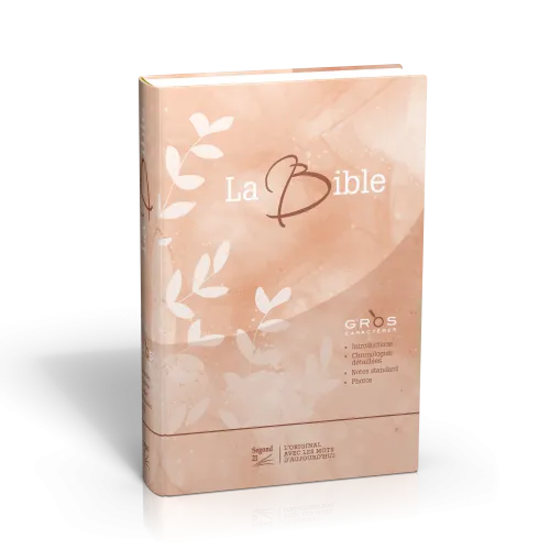 BIBEL SEGOND 21, GROSSDRUCK, ILLUSTRIERT - Hardcover