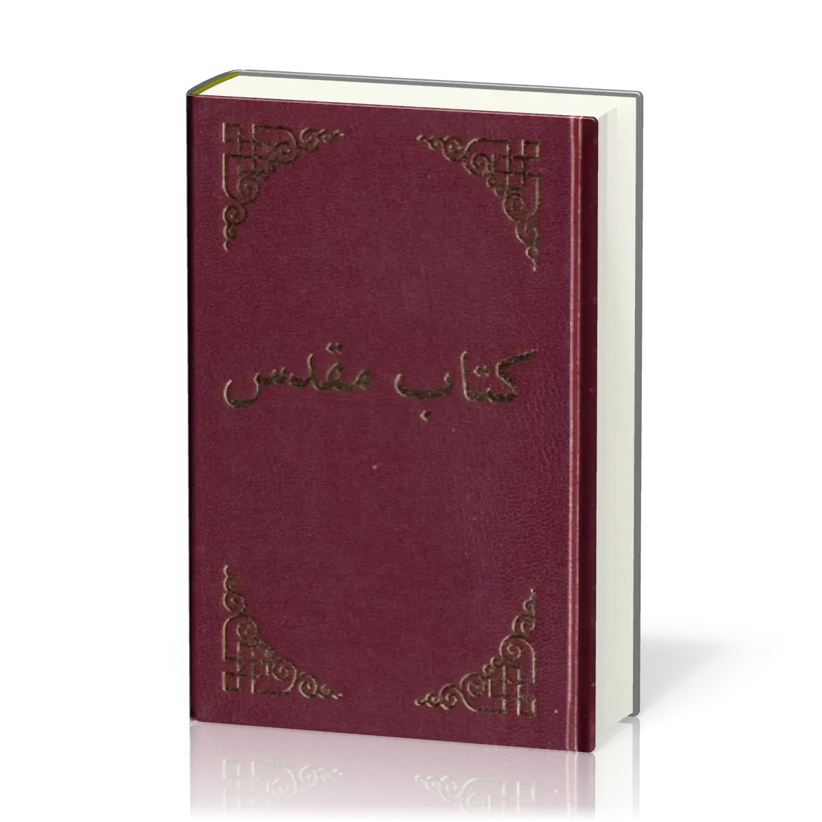Dari, Bibel - Afghanistan