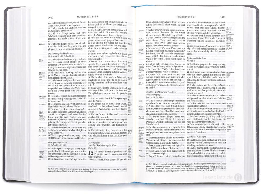 Bibel Schlachter 2000 Taschenausgabe mit Parallelstellen, farbiger Einband hellblau/grau /...