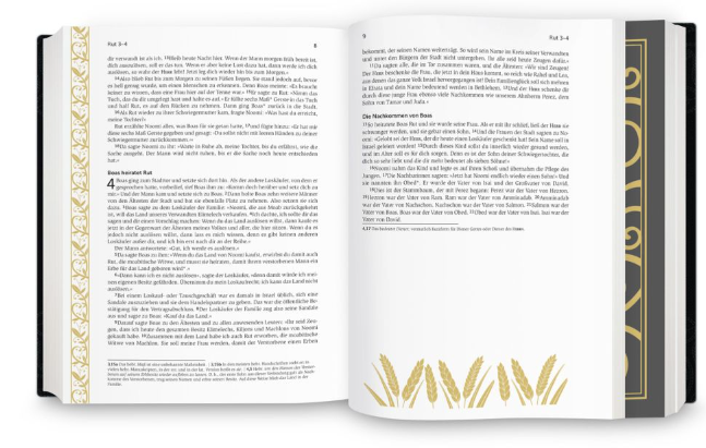 Neues Leben, Bibel - Golden Grace Edition - Einspaltig - gebunden, Gewebeinband, Marineblau