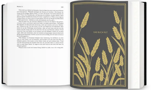 Neues Leben, Bibel - Golden Grace Edition - gebunden, Gewebeinband, Tintenschwarz